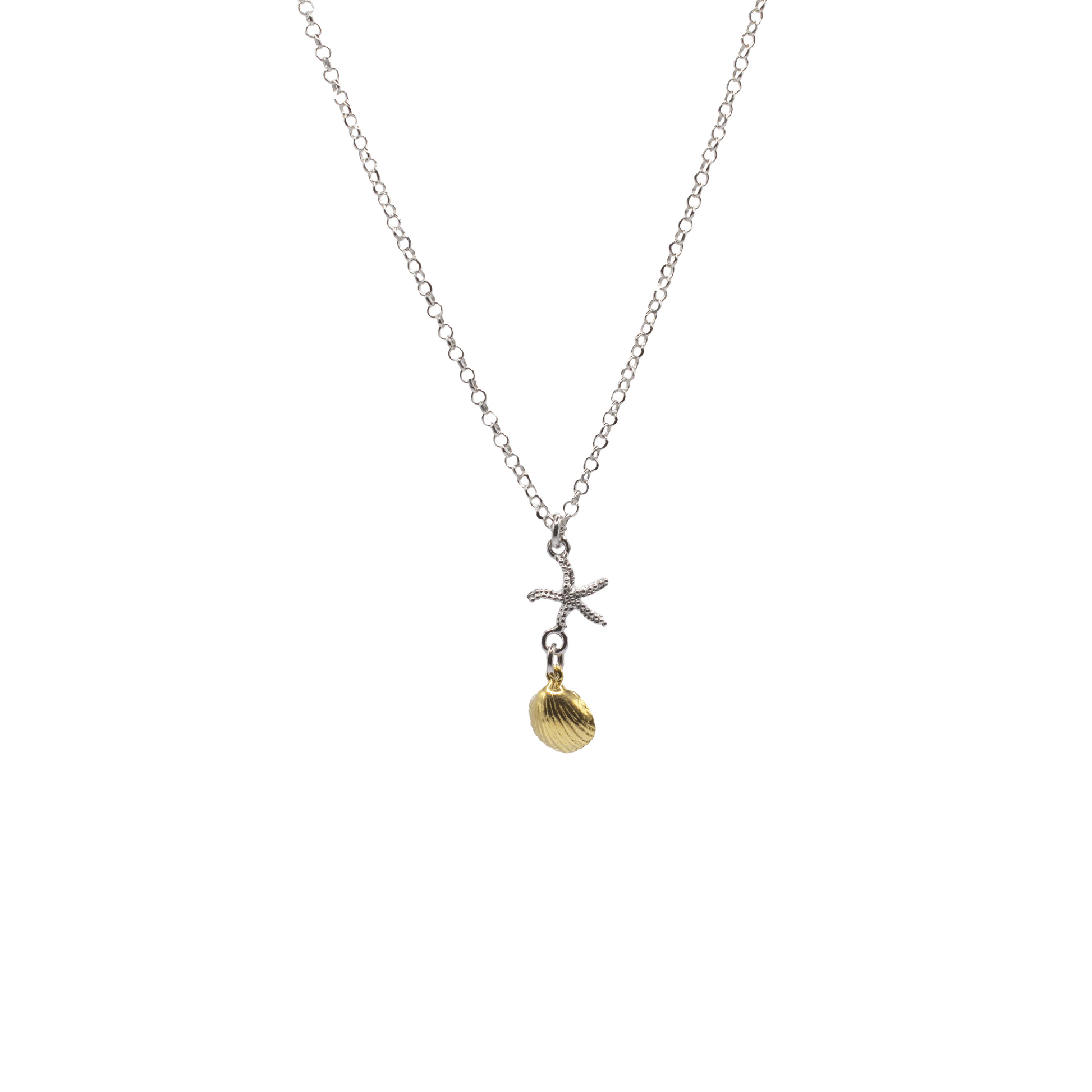 Celebres Collection