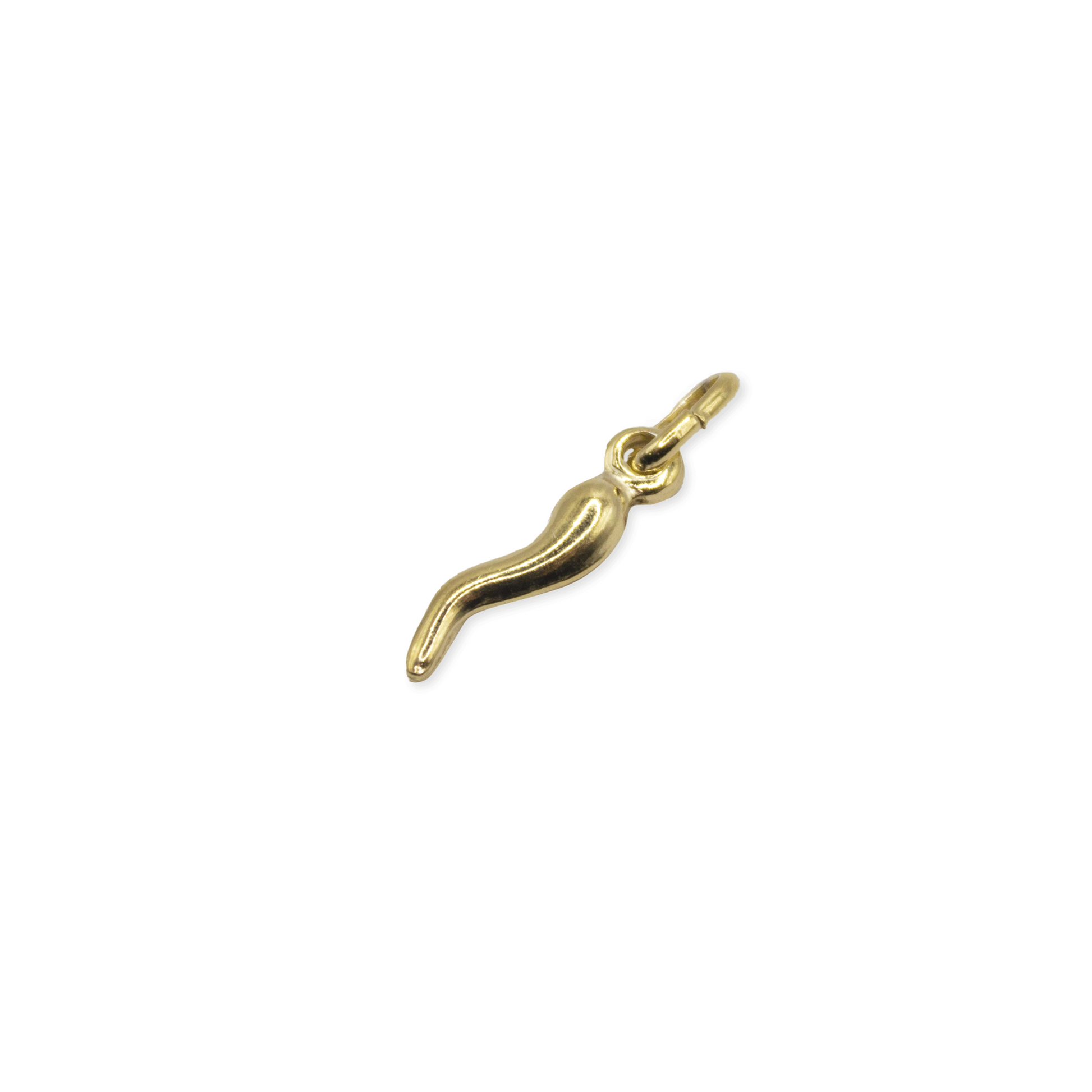 Horn Pendant