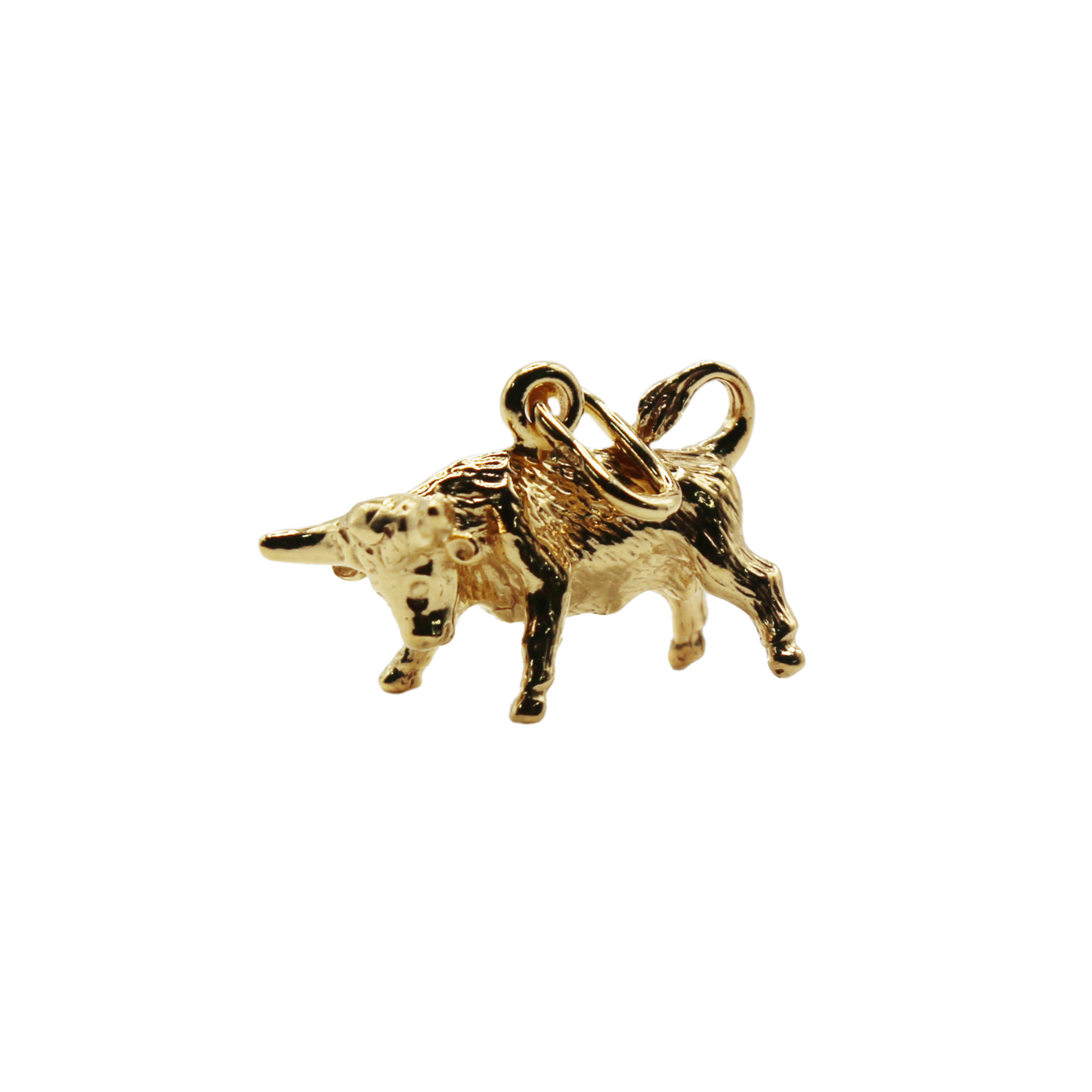 Zodiac Pendant