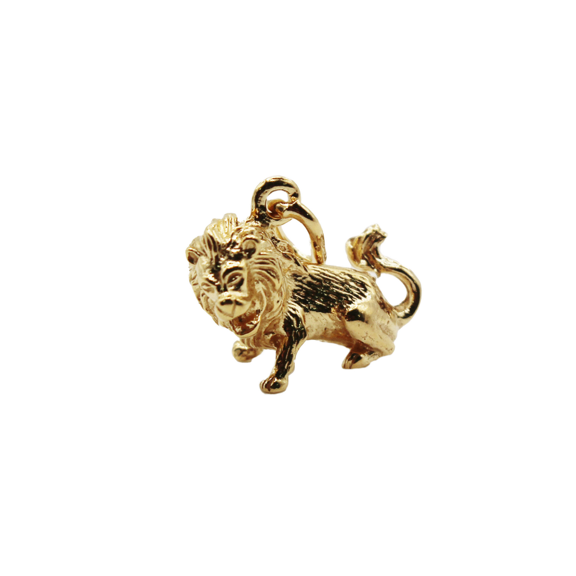 Zodiac Pendant