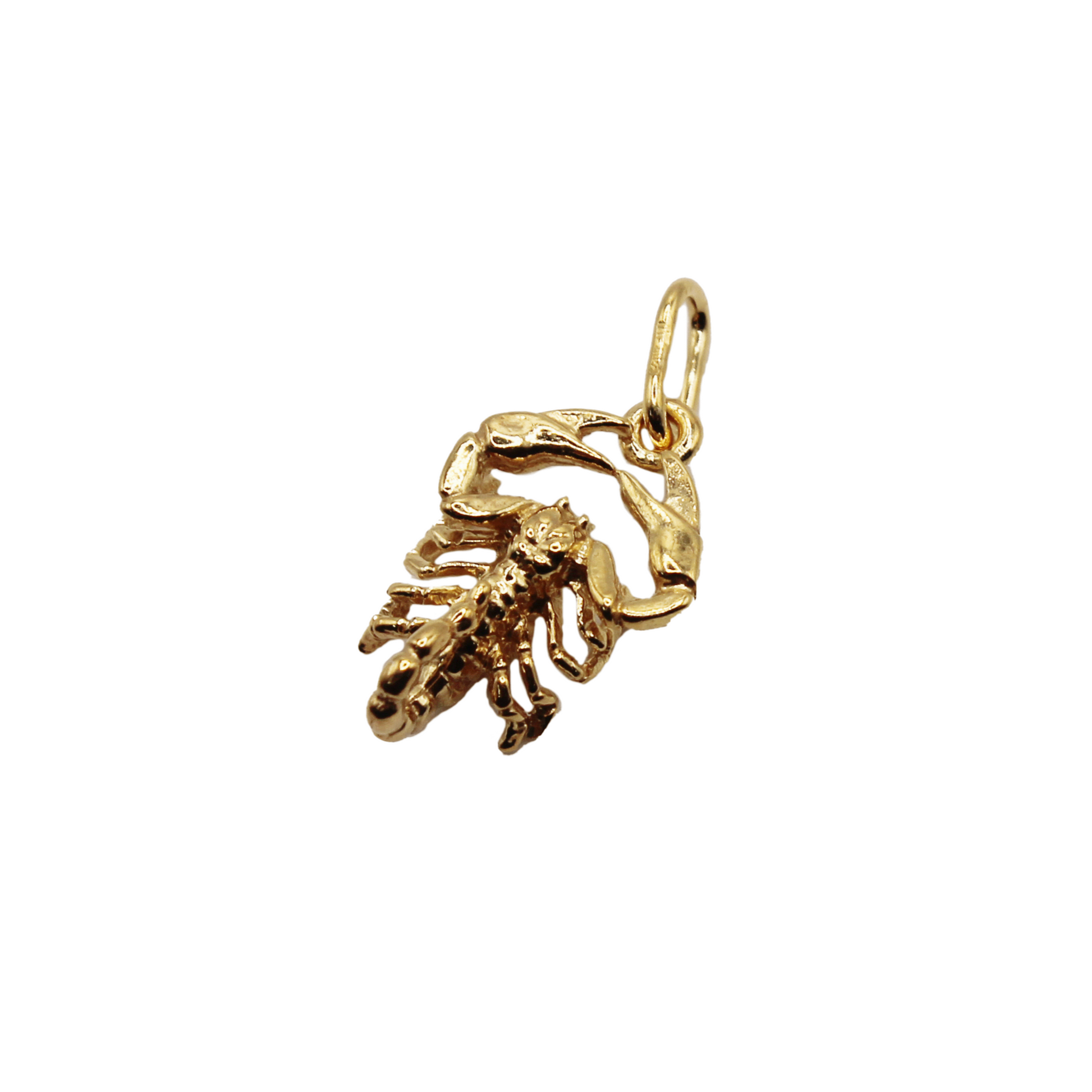Zodiac Pendant