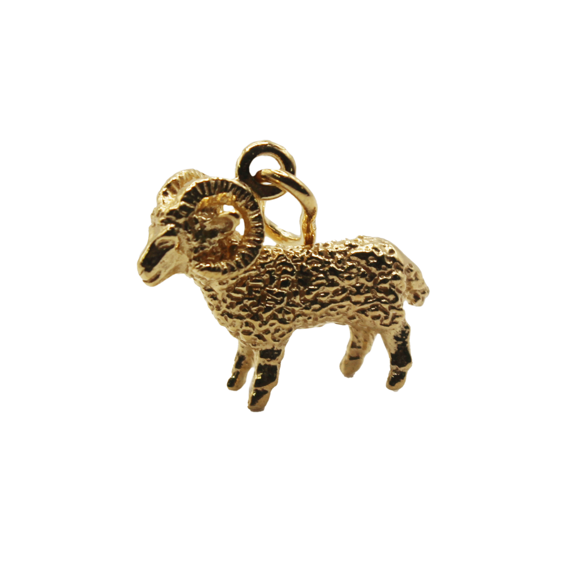 Zodiac Pendant
