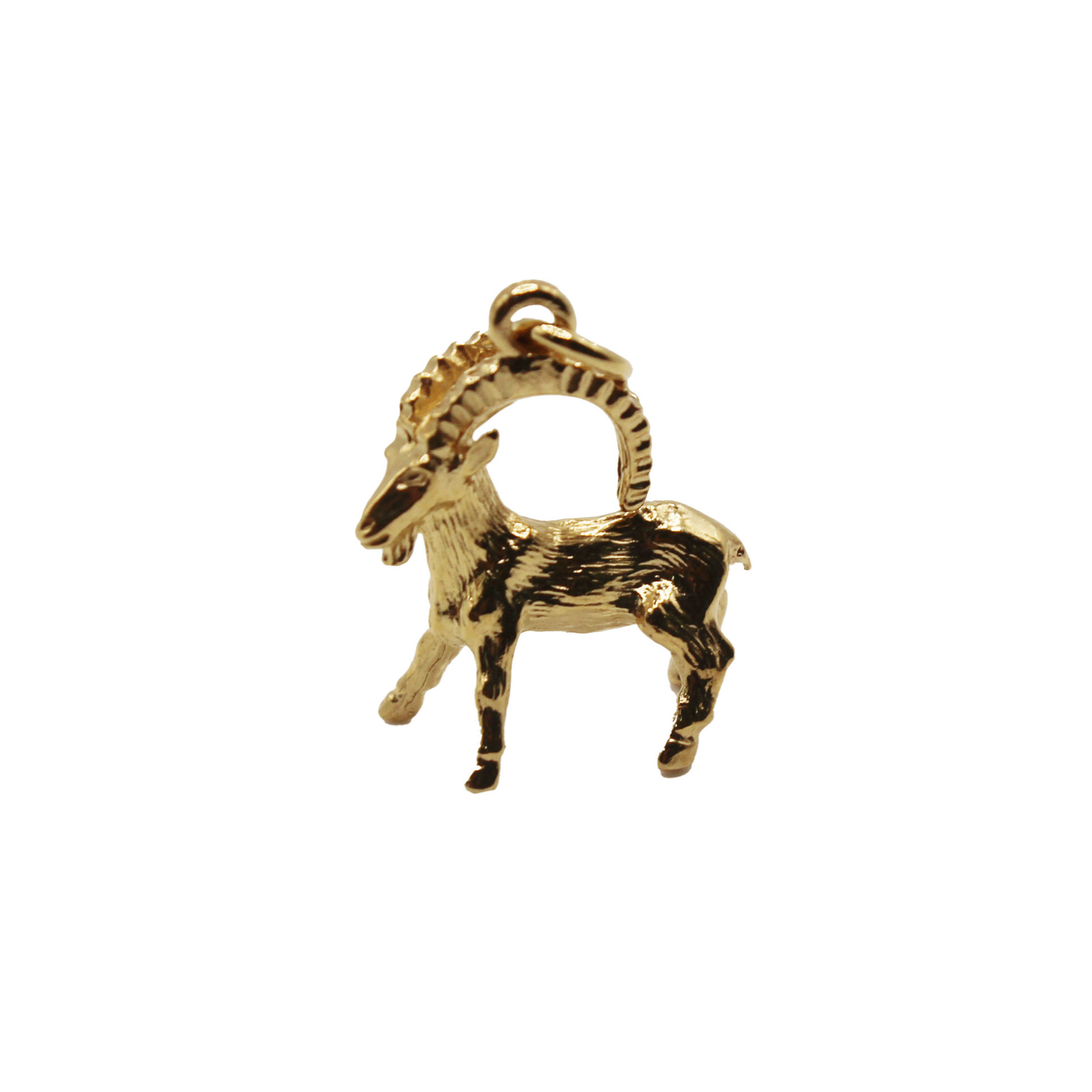 Zodiac Pendant
