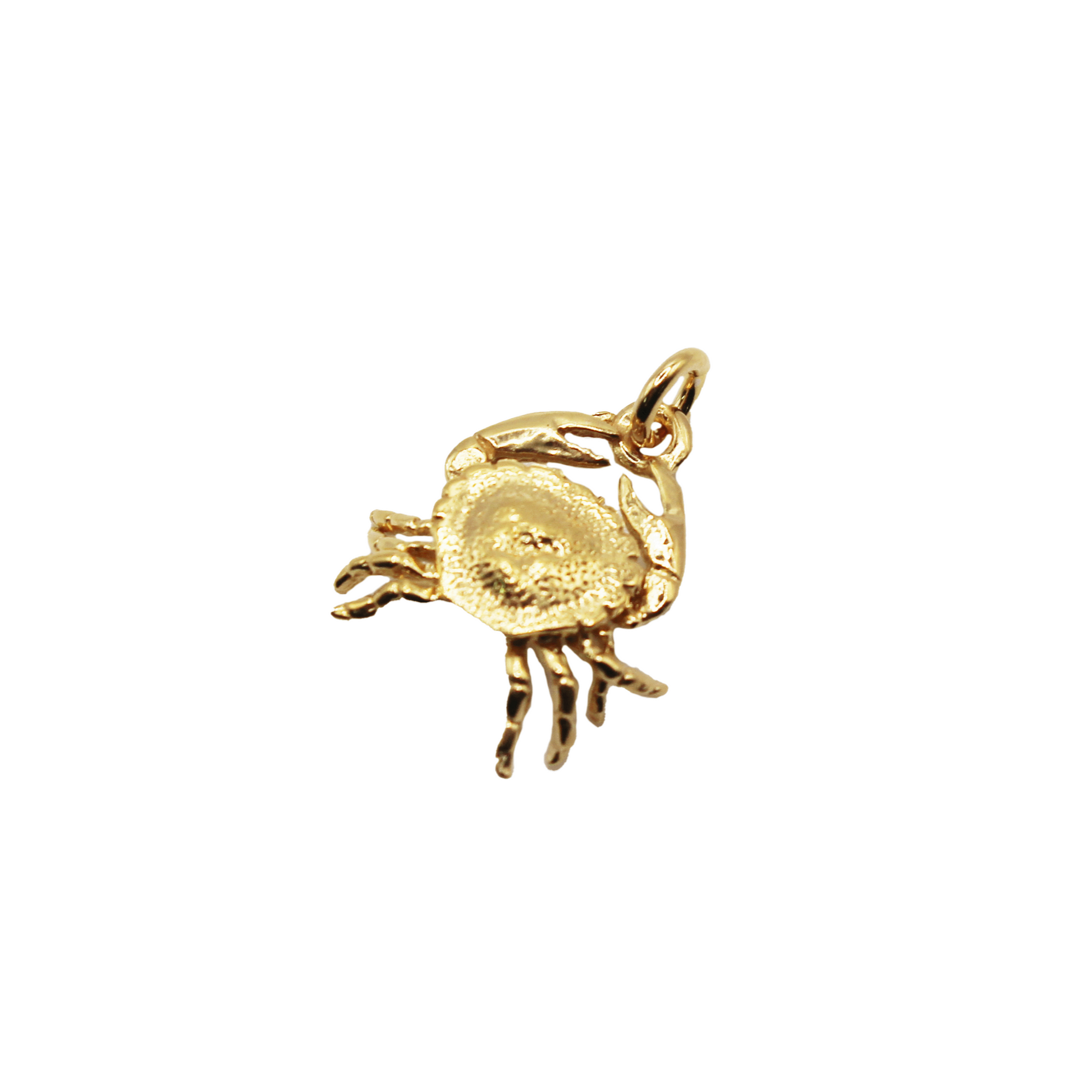 Zodiac Pendant