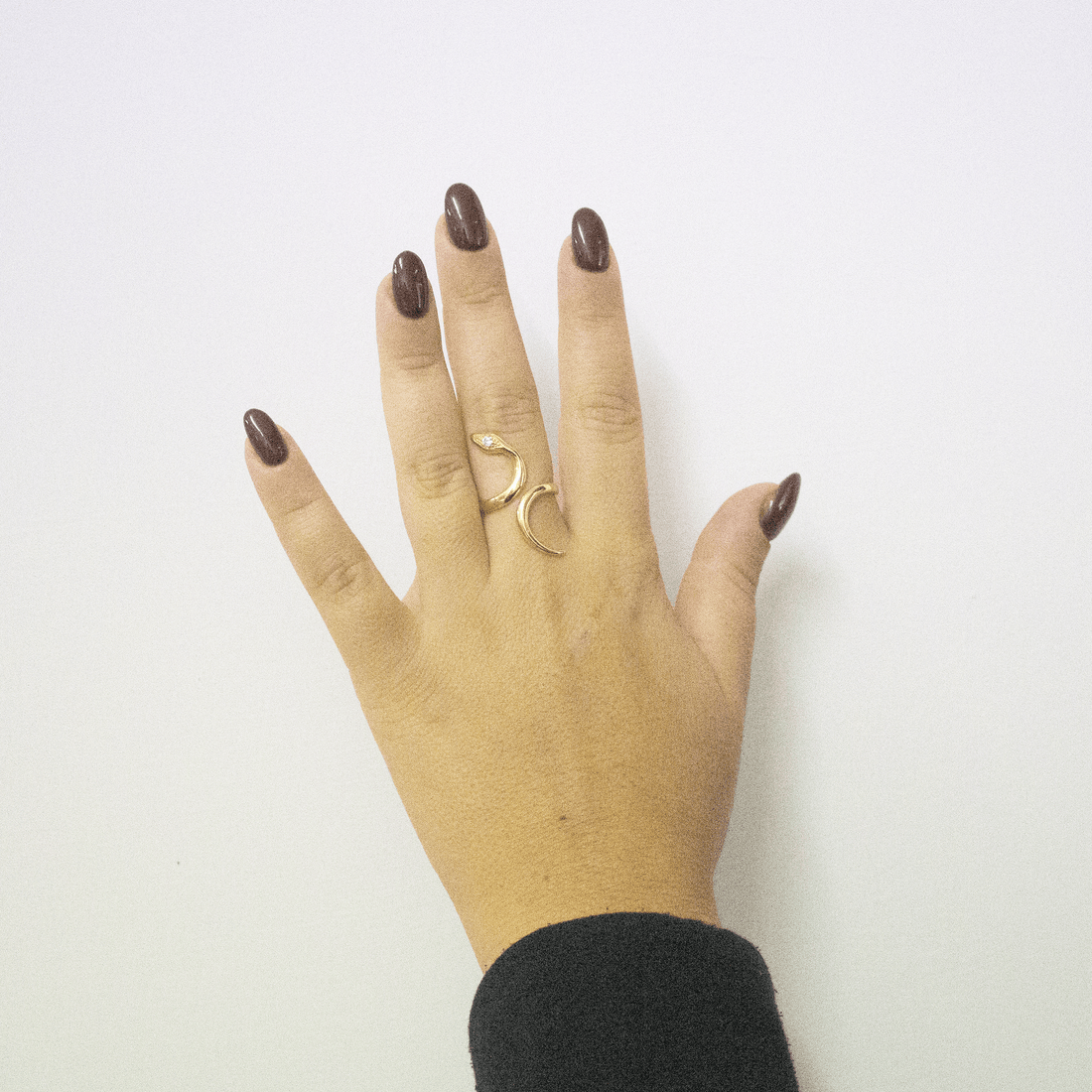 Anello Snake