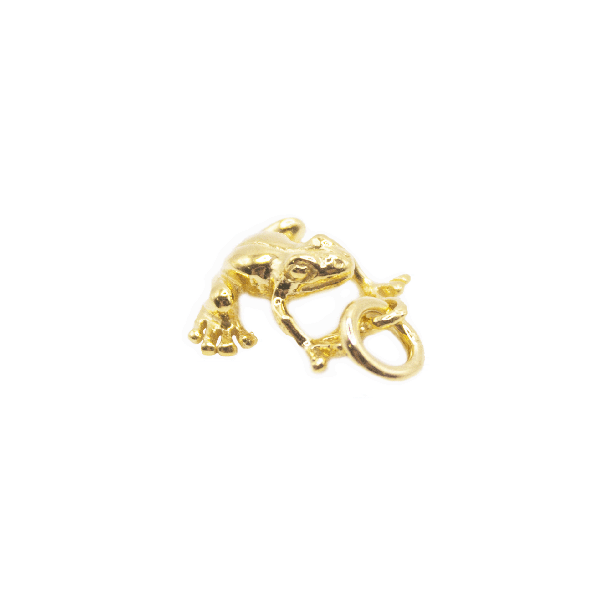 Frog Pendant