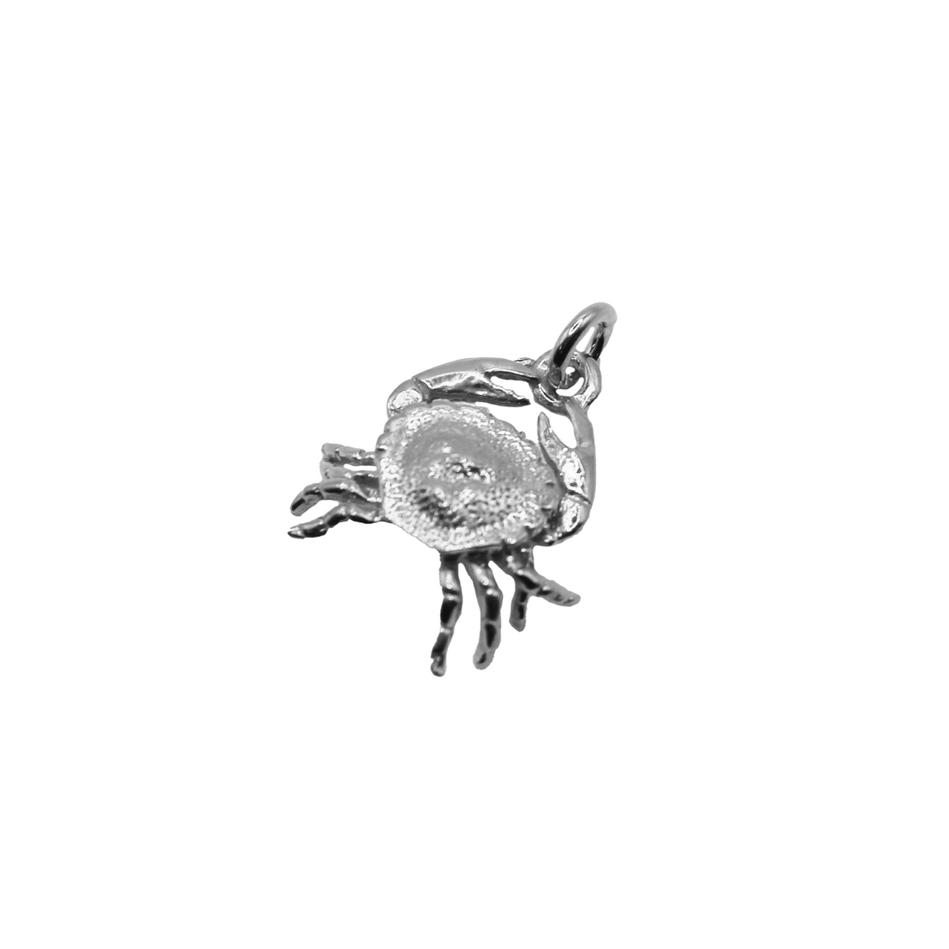 Zodiac Pendant