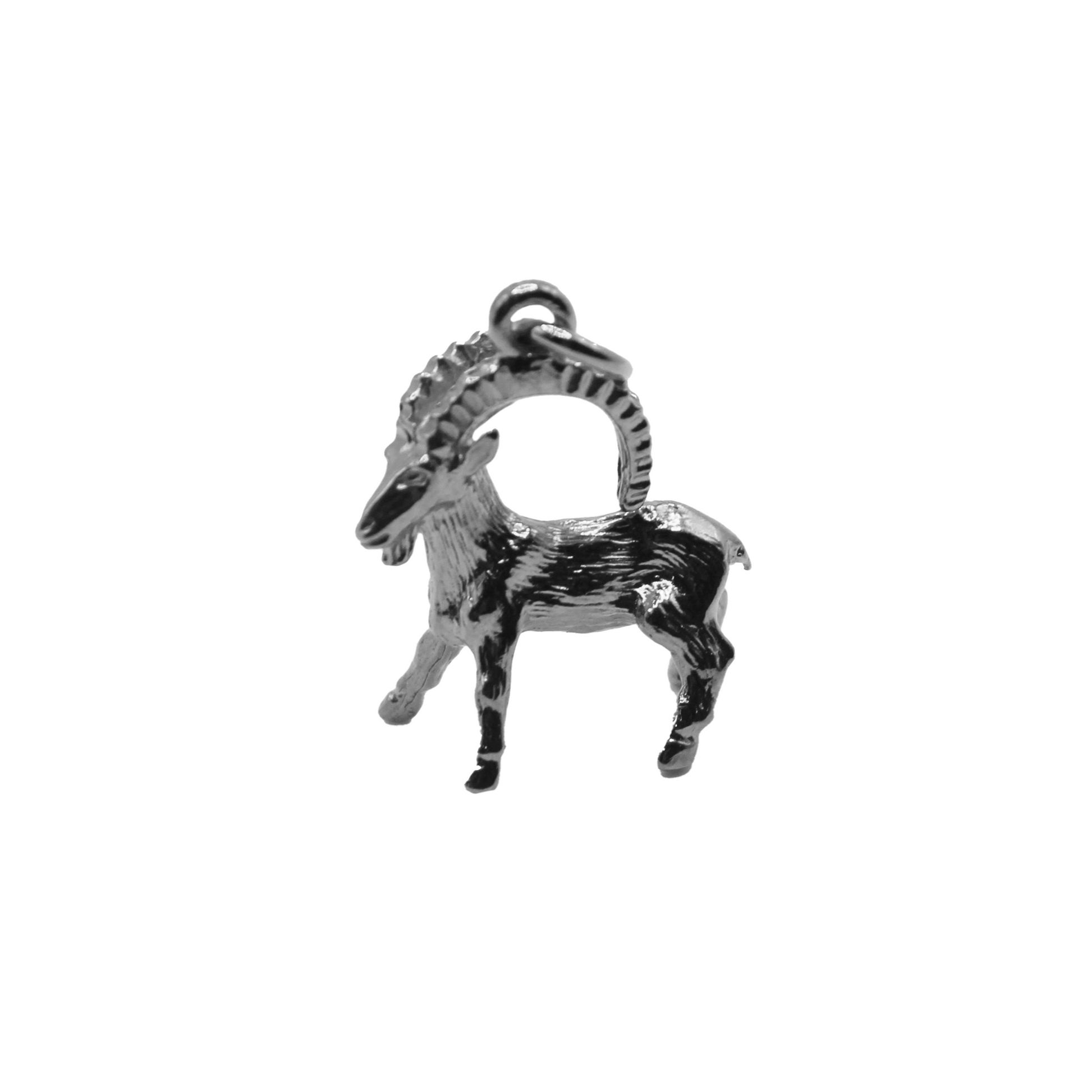 Zodiac Pendant