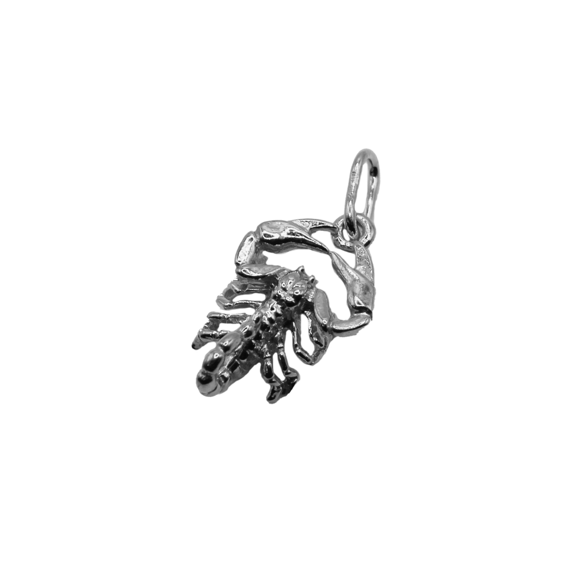 Zodiac Pendant