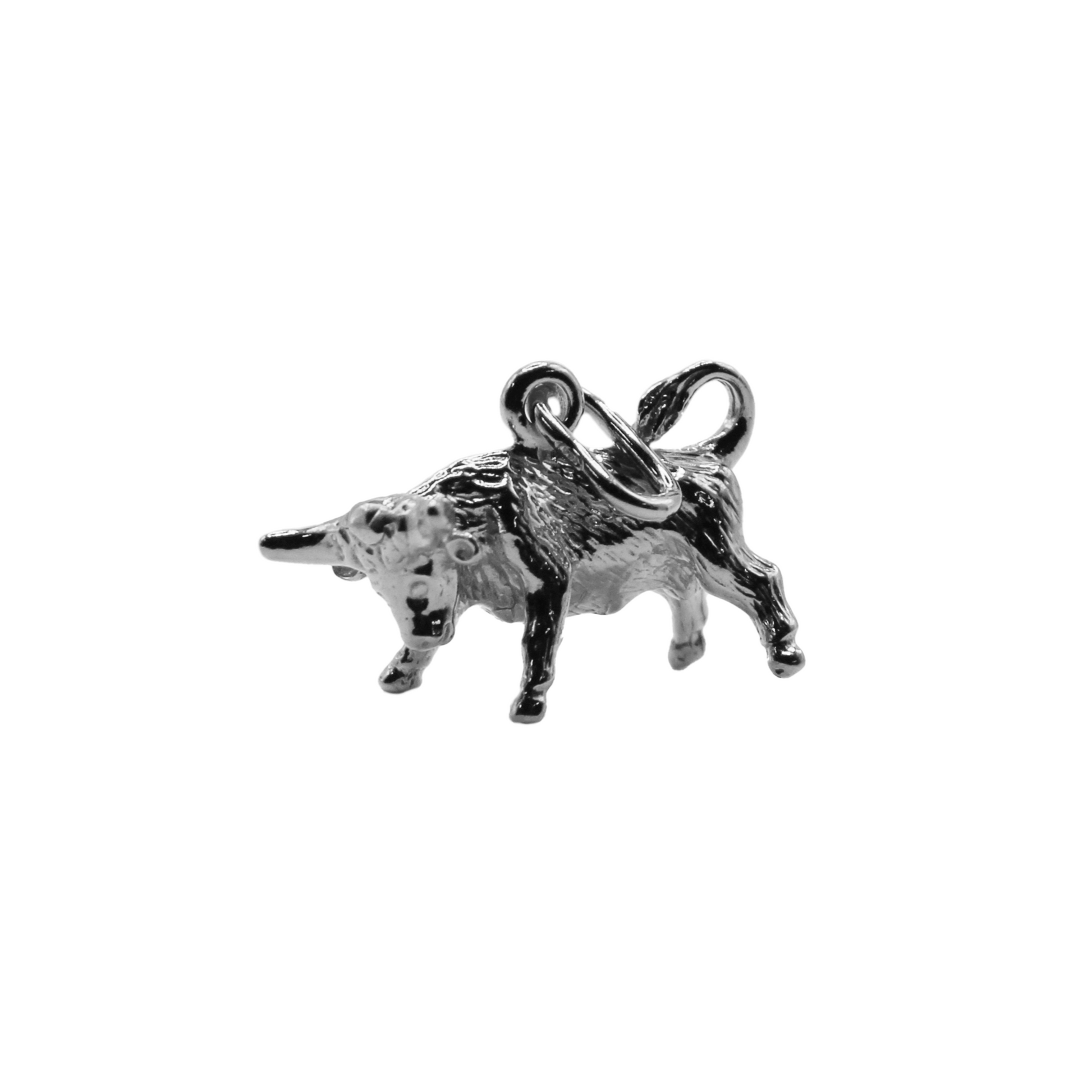 Zodiac Pendant