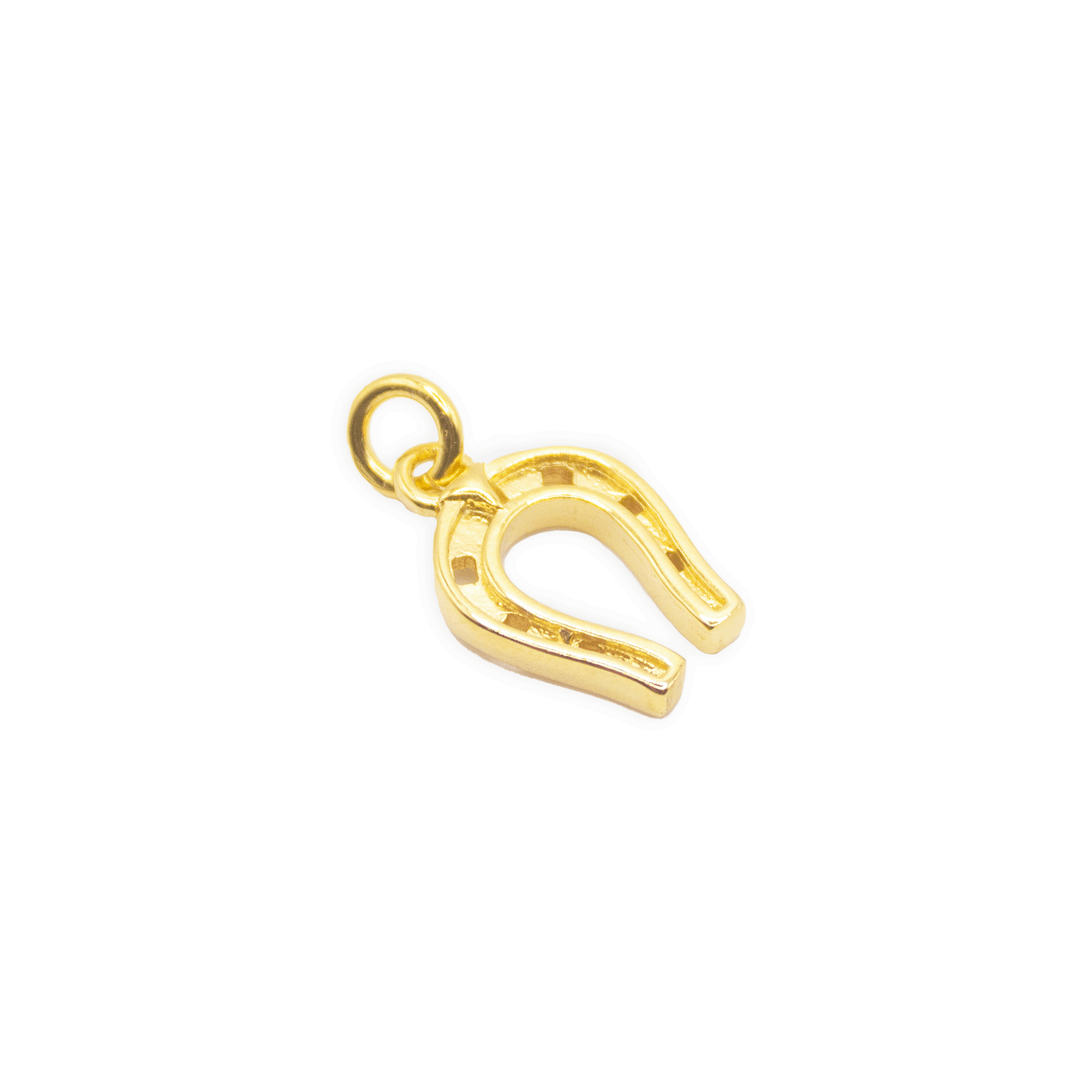 Horseshoe Pendant