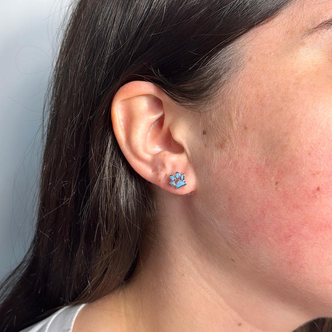 Pendientes de Pata